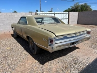 1967 Chevrolet Chevelle for sale in Michigan (ID-119522)