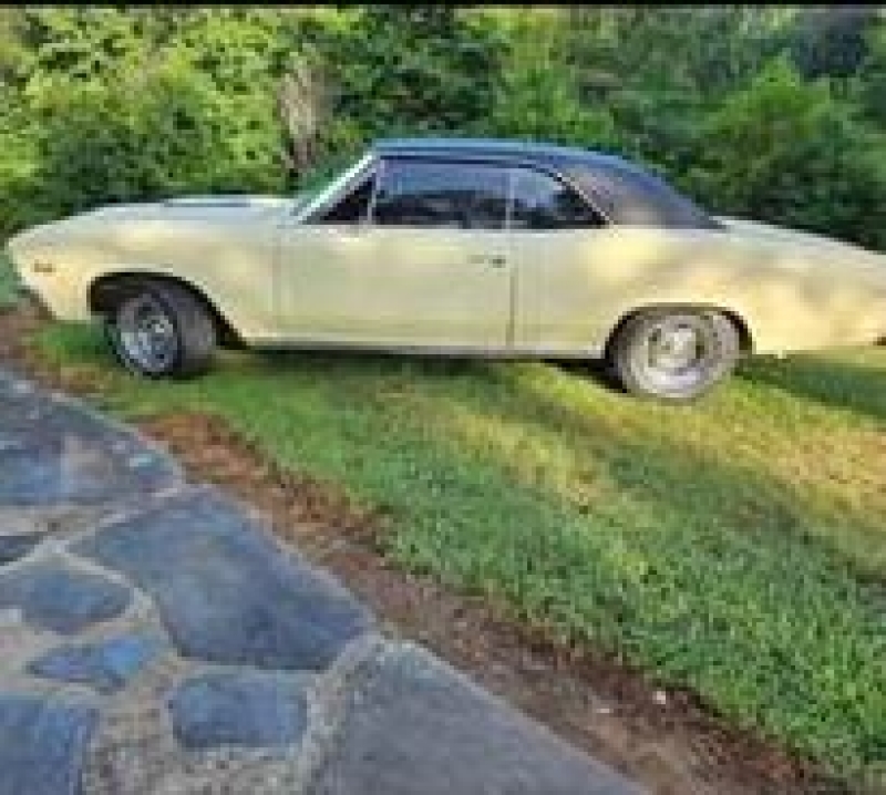 1967 Chevrolet Chevelle for sale in Michigan (ID-119609) 1967 Chevrolet Chevelle for sale in Michigan (ID-119609)