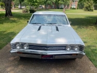 1967 Chevrolet Chevelle for sale in Michigan (ID-119869)