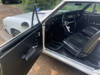 1967 Chevrolet Chevelle for sale in Michigan (ID-119869)