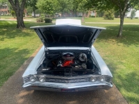 1967 Chevrolet Chevelle for sale in Michigan (ID-119869)