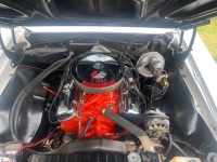 1967 Chevrolet Chevelle for sale in Michigan (ID-119869)