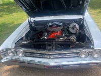 1967 Chevrolet Chevelle for sale in Michigan (ID-119869)