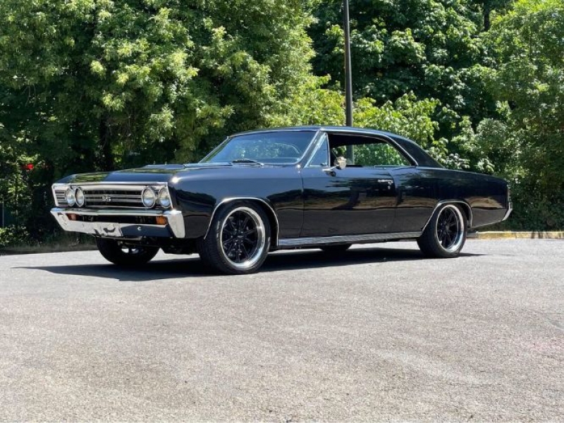 1967 Chevrolet Chevelle for sale in Michigan (ID-121145)