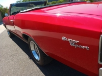 1967 Chevrolet Chevelle for sale in Michigan (ID-121427)