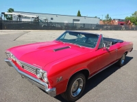1967 Chevrolet Chevelle for sale in Michigan (ID-121427)