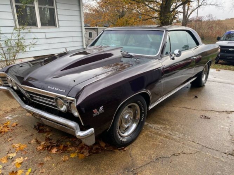 1967 Chevrolet Chevelle for sale in Michigan (ID-123491) 1967 Chevrolet Chevelle for sale in Michigan (ID-123491)