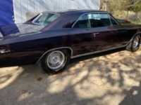 1967 Chevrolet Chevelle for sale in Michigan (ID-123491)