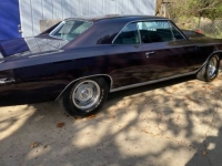 1967 Chevrolet Chevelle for sale in Michigan (ID-123491)