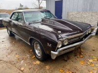 1967 Chevrolet Chevelle for sale in Michigan (ID-123491)