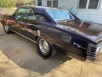1967 Chevrolet Chevelle for sale in Michigan (ID-123491)