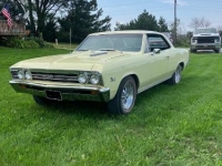 1967 Chevrolet Chevelle for sale in Michigan (ID-124132)