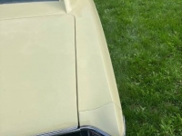 1967 Chevrolet Chevelle for sale in Michigan (ID-124132)