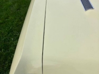 1967 Chevrolet Chevelle for sale in Michigan (ID-124132)
