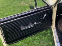 1967 Chevrolet Chevelle for sale in Michigan (ID-124132)