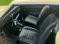 1967 Chevrolet Chevelle for sale in Michigan (ID-124132)