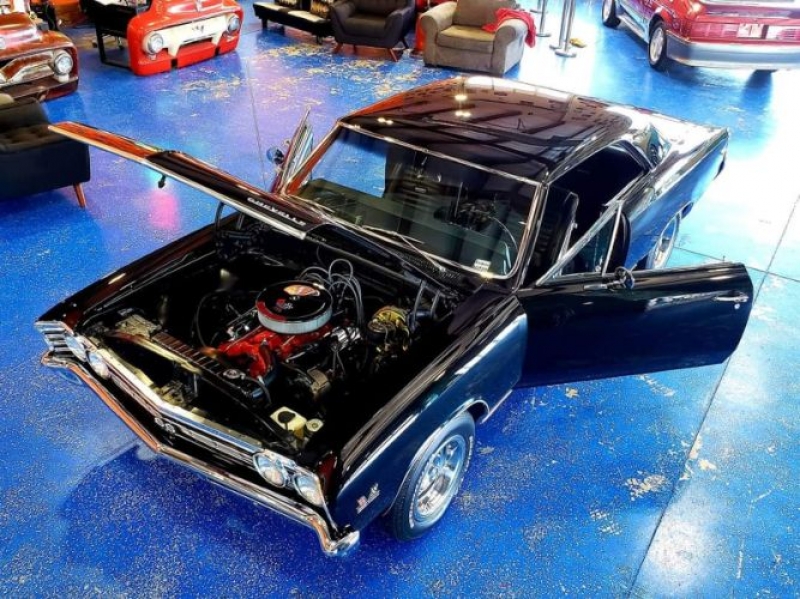 1967 Chevrolet Chevelle for sale in Michigan (ID-124363)