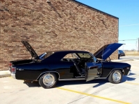 1967 Chevrolet Chevelle for sale in Michigan (ID-124363)