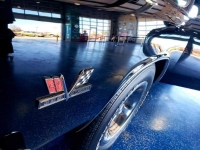 1967 Chevrolet Chevelle for sale in Michigan (ID-124363)