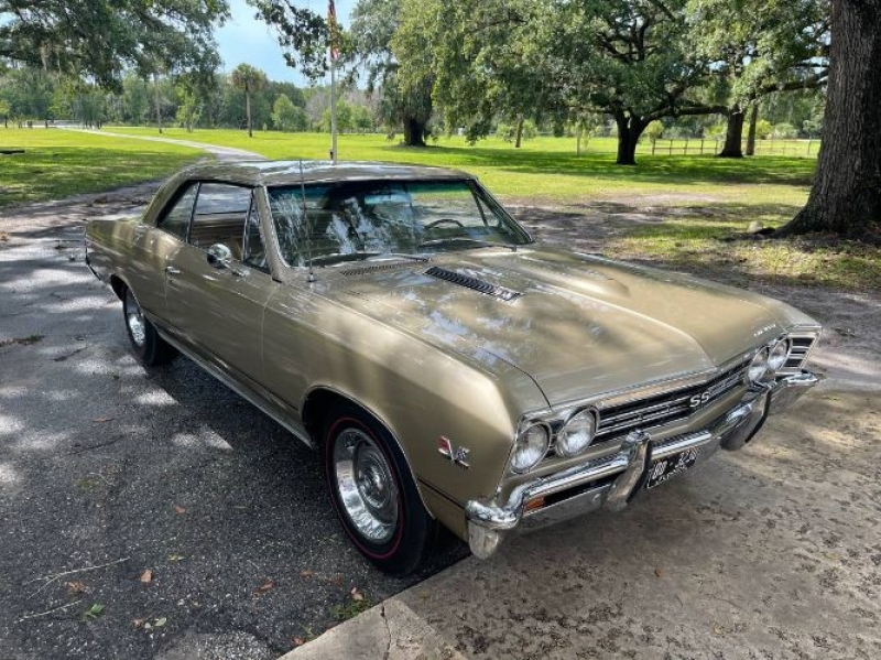 1967 Chevrolet Chevelle for sale in Michigan (ID-125579)