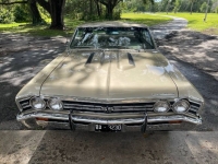 1967 Chevrolet Chevelle for sale in Michigan (ID-125579)