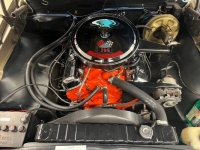 1967 Chevrolet Chevelle for sale in Michigan (ID-125579)