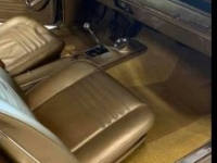 1967 Chevrolet Chevelle for sale in Michigan (ID-125579)