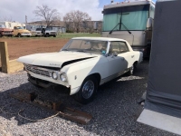 1967 Chevrolet Chevelle for sale in Michigan (ID-125640)