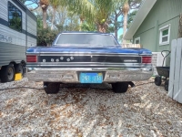 1967 Chevrolet Chevelle for sale in Michigan (ID-126601)