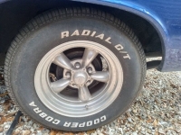 1967 Chevrolet Chevelle for sale in Michigan (ID-126601)