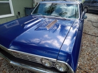 1967 Chevrolet Chevelle for sale in Michigan (ID-126601)