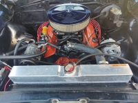 1967 Chevrolet Chevelle for sale in Michigan (ID-126601)