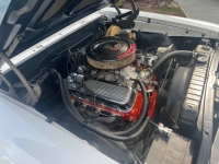 1967 Chevrolet Chevelle for sale in Michigan (ID-131828)