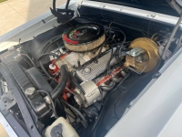 1967 Chevrolet Chevelle for sale in Michigan (ID-131828)