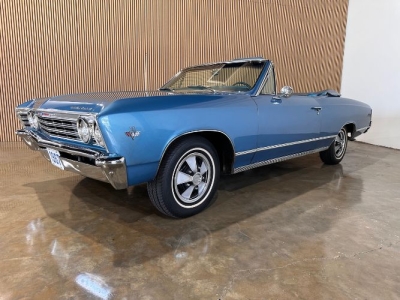 1967 Chevrolet Chevelle for sale in Michigan