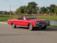 1967 Chevrolet Chevelle for sale (ID-124400)