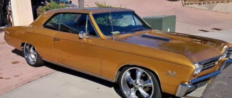 1967 Chevrolet Chevelle for sale in Michigan (ID-134463)