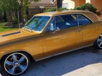 1967 Chevrolet Chevelle for sale in Michigan (ID-134463)