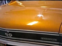 1967 Chevrolet Chevelle for sale in Michigan (ID-134463)