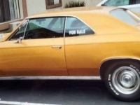 1967 Chevrolet Chevelle for sale in Michigan (ID-134463)