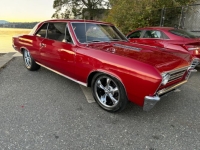 1967 Chevrolet Chevelle for sale in Michigan (ID-134486)