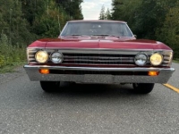 1967 Chevrolet Chevelle for sale in Michigan (ID-134486)