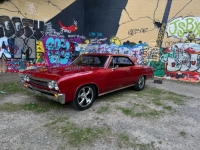 1967 Chevrolet Chevelle for sale in Michigan (ID-134486)
