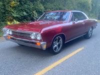 1967 Chevrolet Chevelle for sale in Michigan (ID-134486)