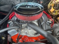 1967 Chevrolet Chevelle for sale in Michigan (ID-136118)