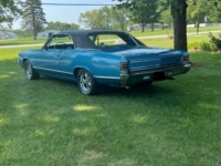 1967 Chevrolet Chevelle for sale in Michigan (ID-136118)