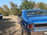 1967 Chevrolet Chevelle for sale in Michigan (ID-136434)