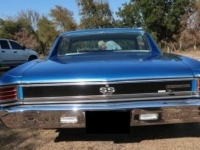 1967 Chevrolet Chevelle for sale in Michigan (ID-136435)