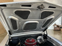 1967 Chevrolet Chevelle for sale in Michigan (ID-138113)