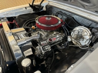 1967 Chevrolet Chevelle for sale in Michigan (ID-138113)